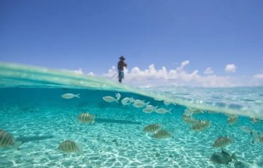 Holidays in a Tahitian Guesthouse