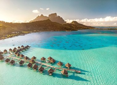 Whale Watching and Polynesian Dream
