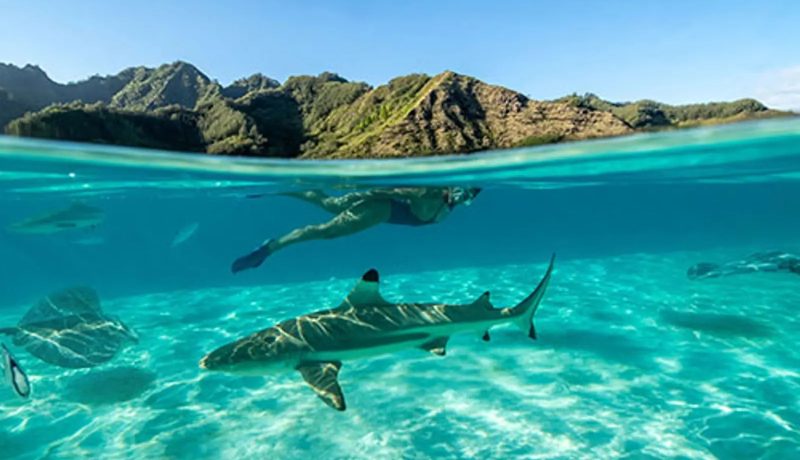 Silversea Society Islands, Tuamotus and Marquesas Cruise