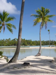 Book with a Certified travel agent Tahiti Specialist