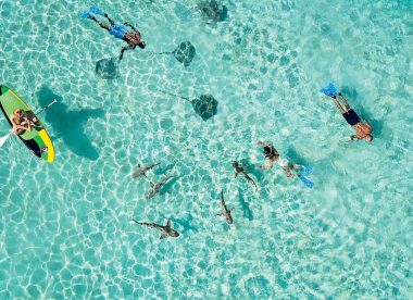 Paul Gauguin:  7 night Tahiti Cruises