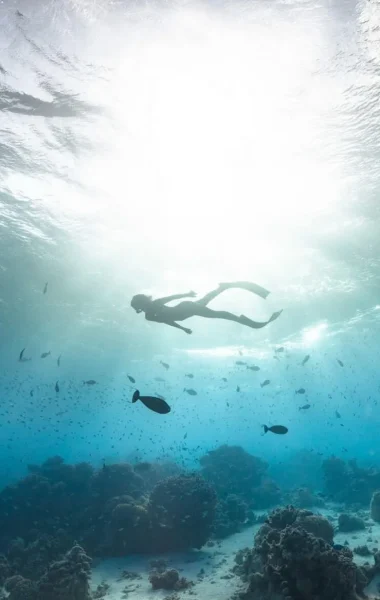 Diving session©_Alexandre Voyer