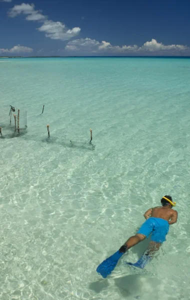 Snorkeling in the Tuamotus©_Alexandre Voyer