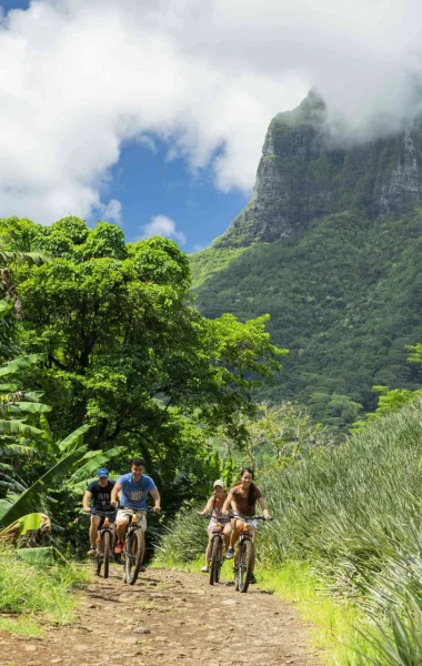 Electric bike ride through Moorea's pineapple fields © Grégoire Le Bacon