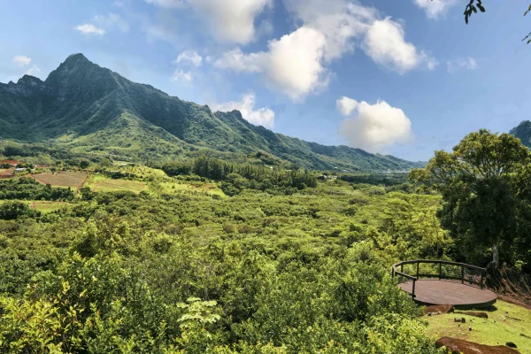 Mountain view on Raiatea©_Alika Photography