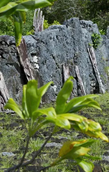 Marae de Taputapuatea © Tahiti Tourisme