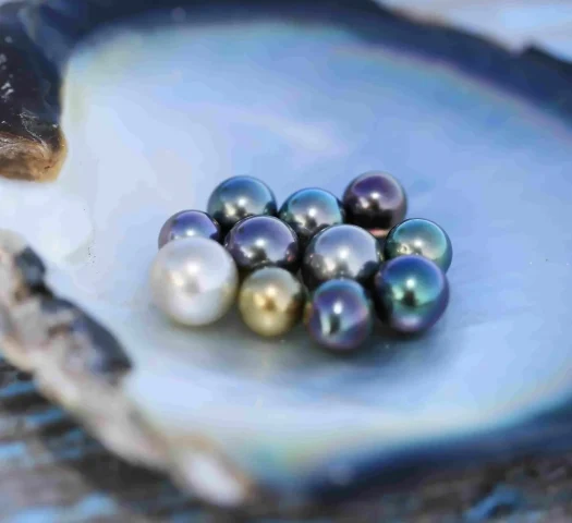 Tahitian cultured pearls come in a variety of colors and shapes © Gregoire Le Bacon