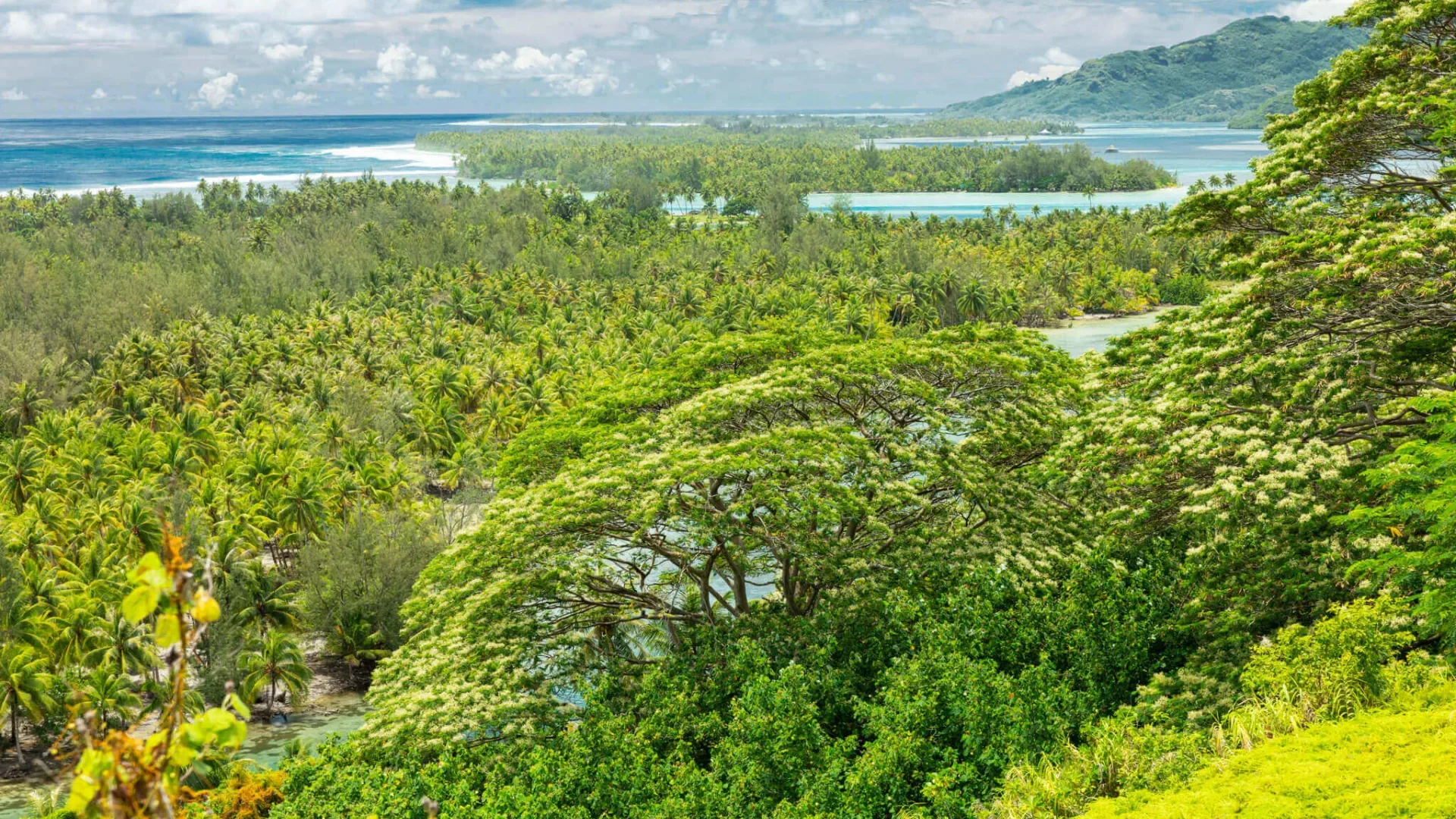 Vue du mont Tapu à Huahine ©_Grégoire Le Bacon