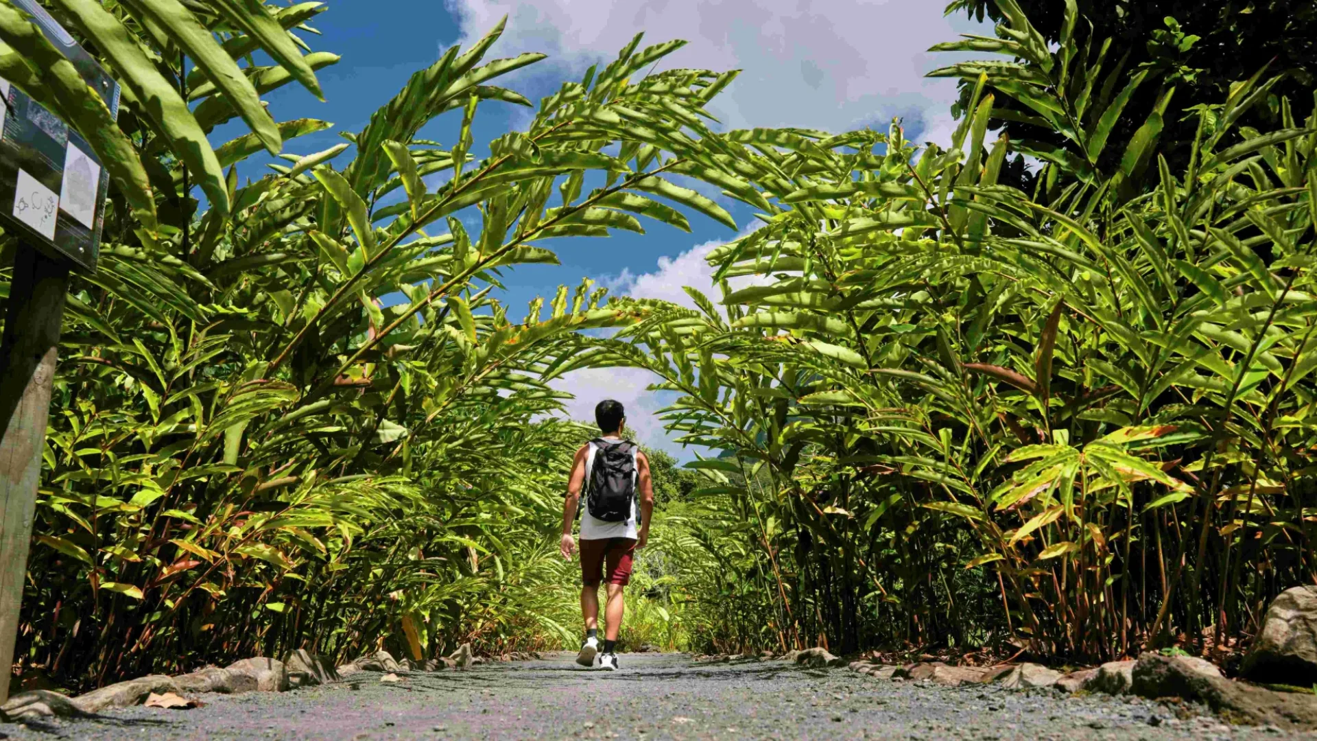 Discover Raiatea, the sacred island©_Alika Photography