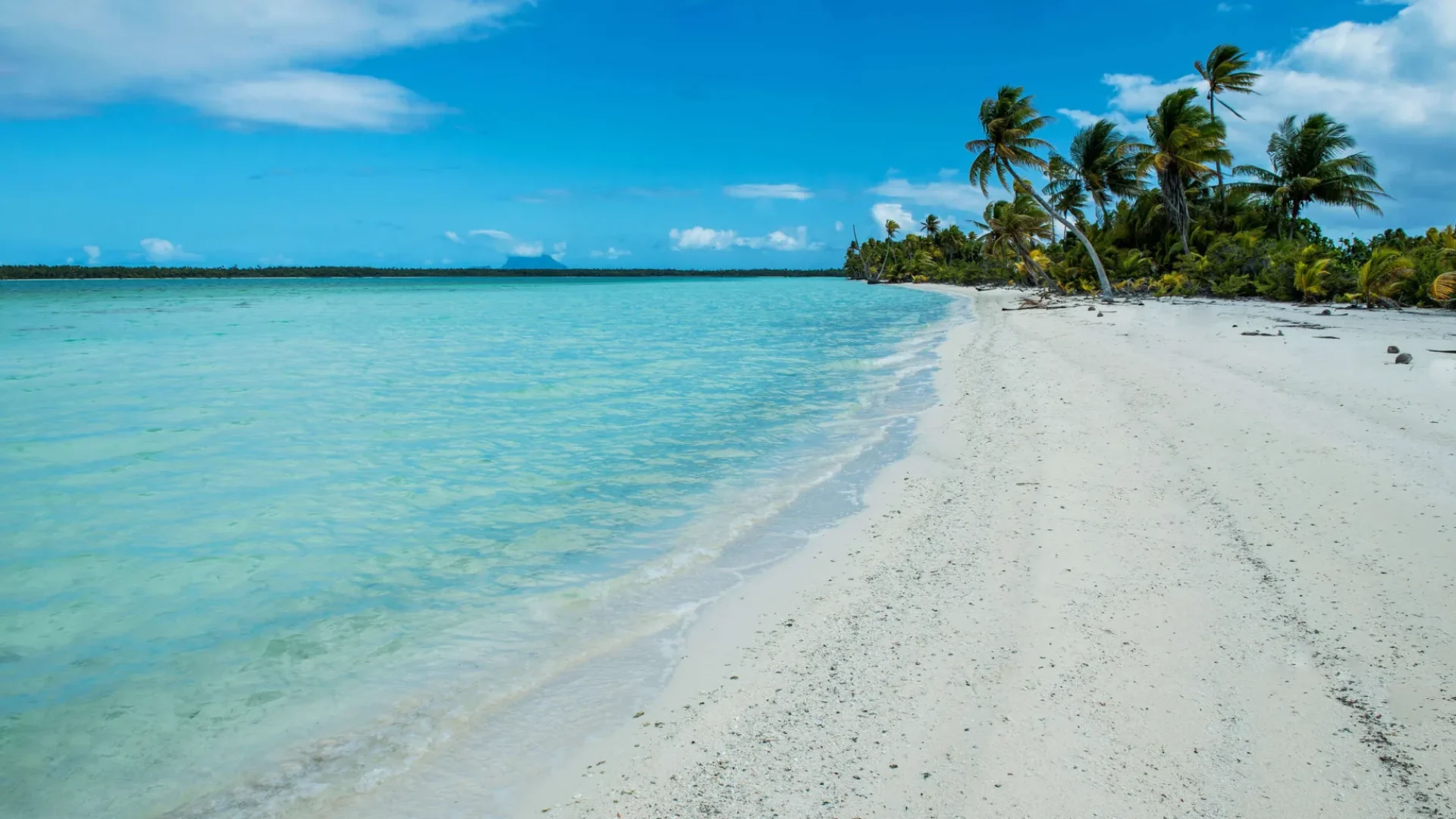 White sand beach on one of Bora Bora's motu © Hino Itaru