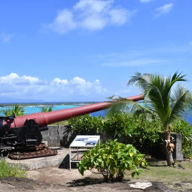 Profile of a military cannon on the haamaire site in bora bora association mémoire polynésienne