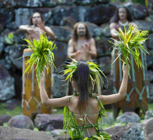 Little girl with her back to a dance show © Tahiti Tourisme