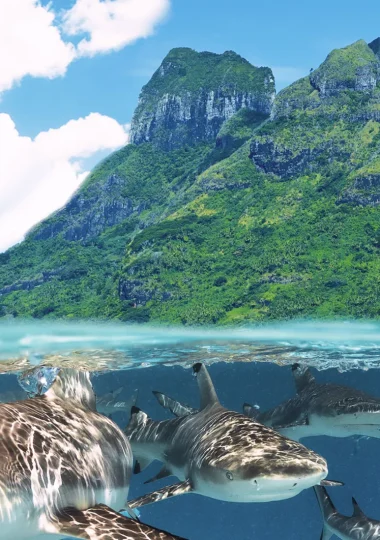 Why You Should Visit Bora Bora at Least Once